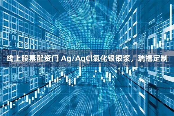线上股票配资门 Ag/AgCl氯化银银浆，瑞禧定制